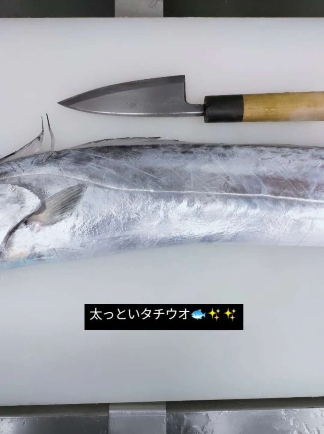 タチウオがやってきた！(太刀魚を食べるならおととごはん味保へ)